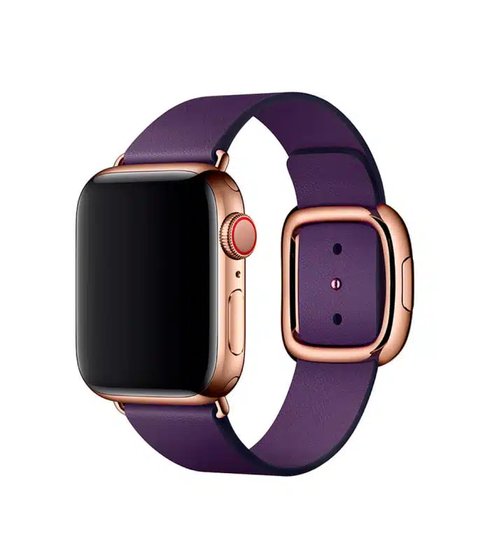 Apple watch aubergine modern buckle sale