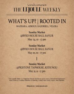 684085505 17962041390094577 3048742576501204097 n