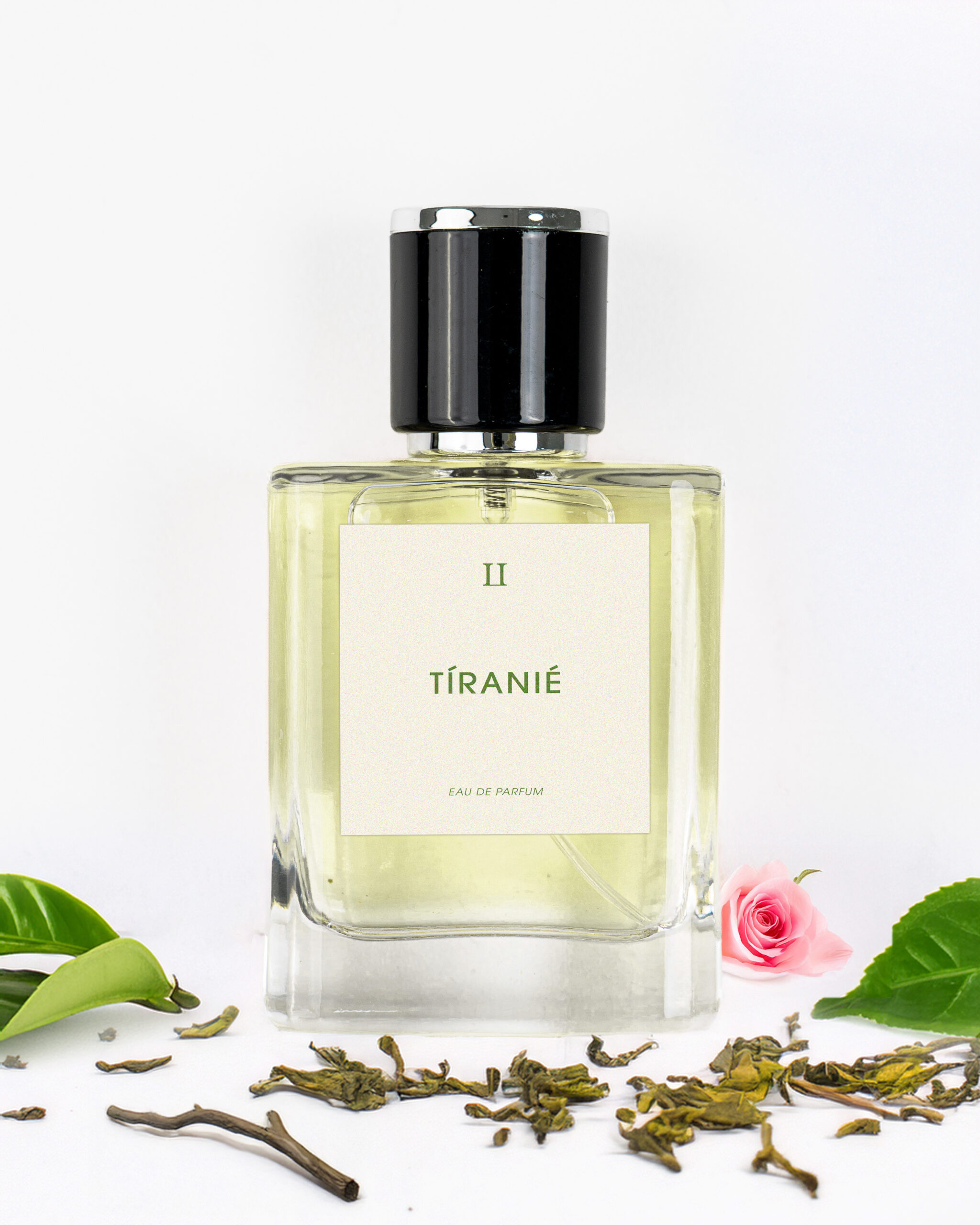 Lejoule Tiranie 2 1 scaled